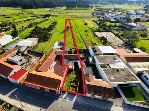 Excellent Investment Opportunity in Lombomeão, Vagos We present you an urban land with improvements, strategically located in Lombomeão, Vagos, just 2 minutes from the centre of Vagos and 10 minutes from Praia da Vagueira. This property offers enormo...