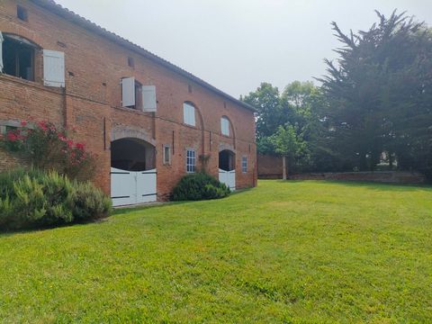photo no. 9