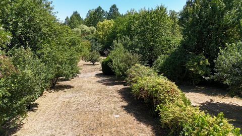 photo no. 13