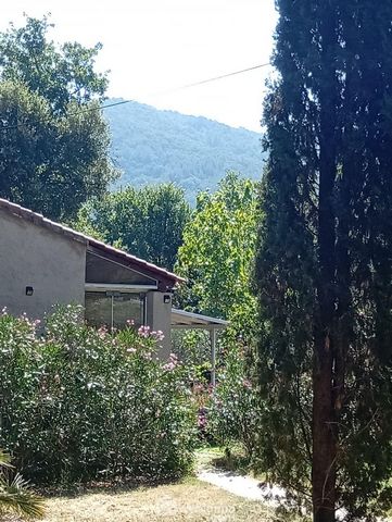 photo no. 9