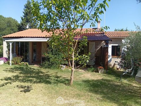 photo no. 11
