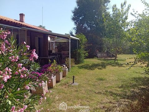 photo no. 12