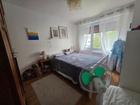 photo no. 17