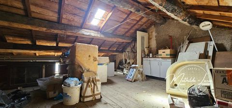 photo no. 18