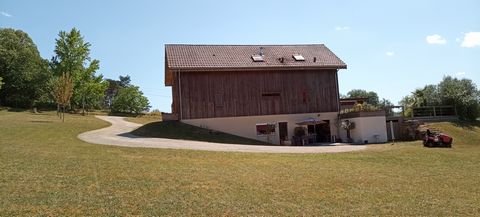 photo no. 3