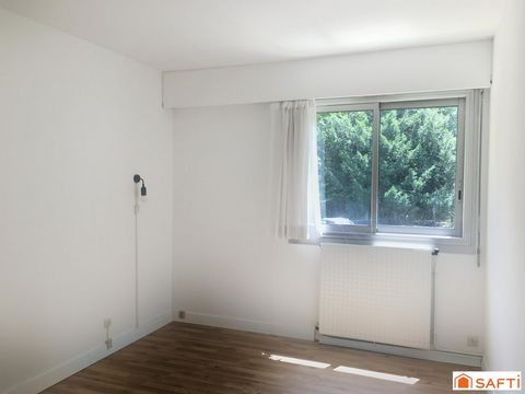 photo no. 11