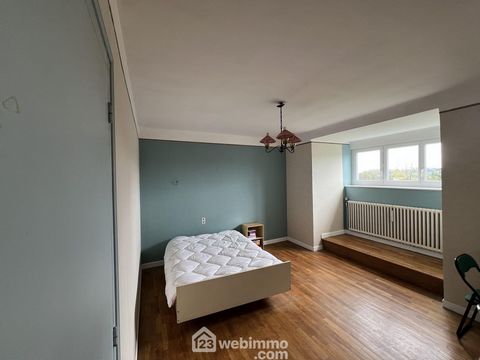 photo no. 14
