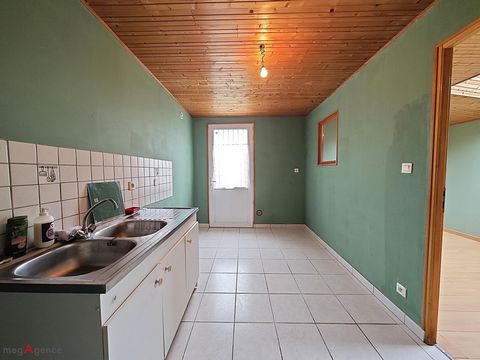 photo no. 8