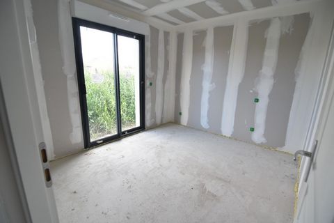 photo no. 6