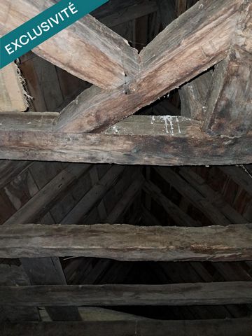 photo no. 6