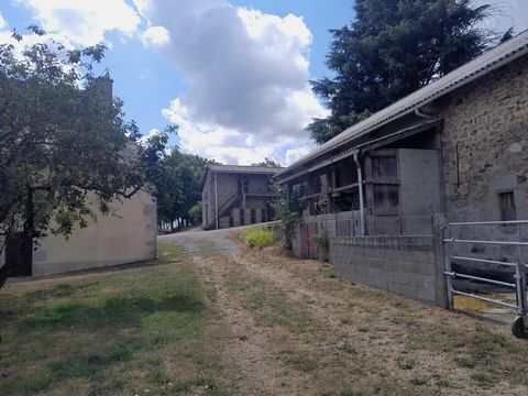 photo no. 10