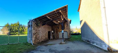 photo no. 8