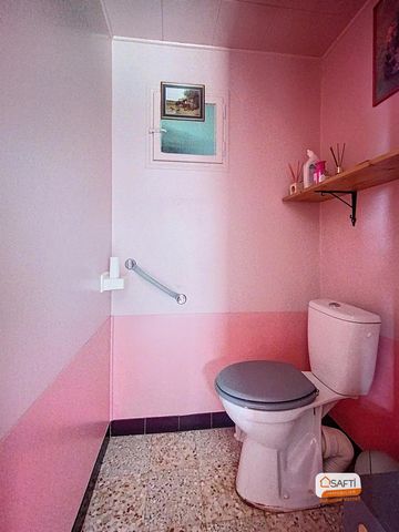 photo no. 7