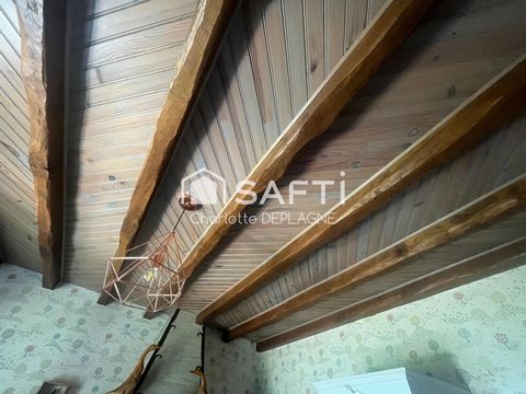 photo no. 11