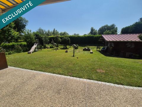 photo no. 10