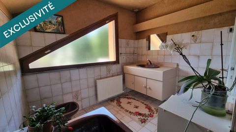 photo no. 12