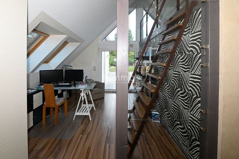 photo no. 16