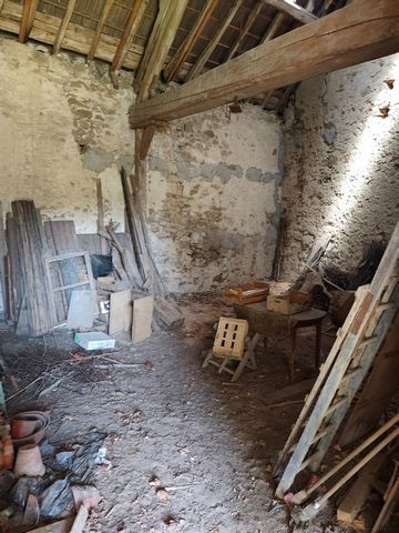 photo no. 17