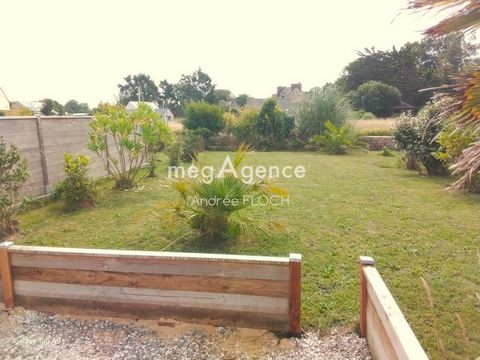 photo no. 11