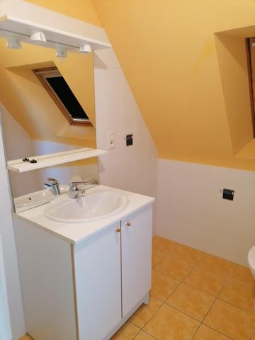 photo no. 5