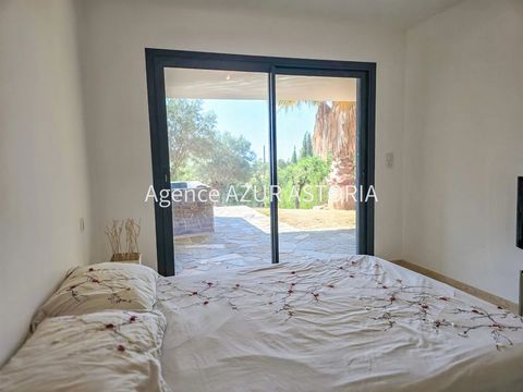 photo no. 14