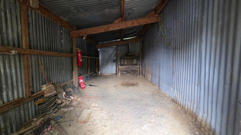 photo no. 10