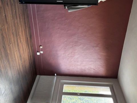 photo no. 8