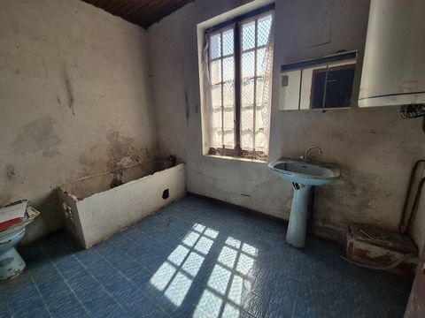 photo no. 18