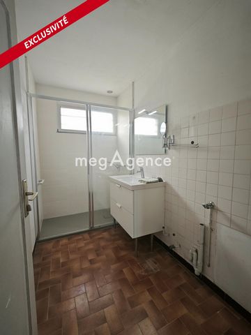 photo no. 8