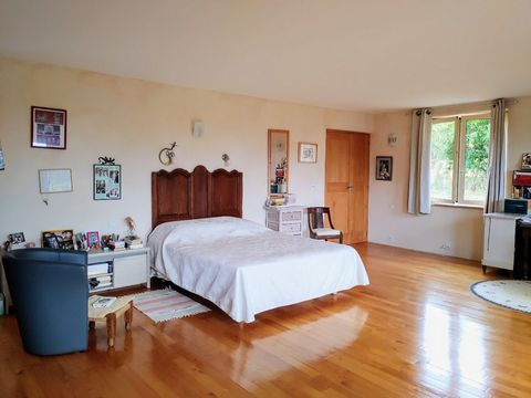 photo no. 21