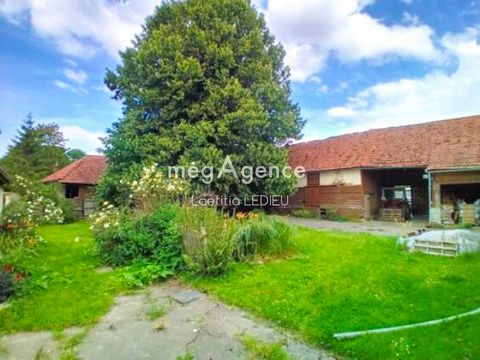 photo no. 16