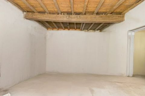 photo no. 1