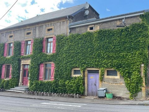 photo no. 12