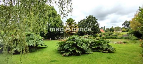 photo no. 14