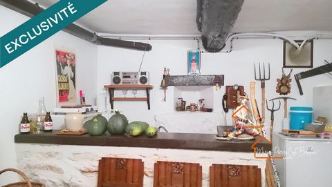 photo no. 19