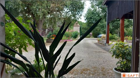 photo no. 9