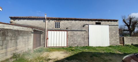 photo no. 8