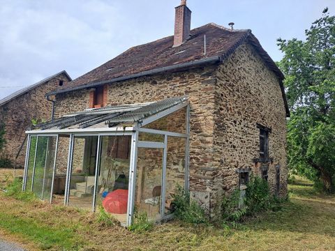photo no. 6