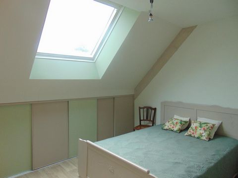 photo no. 10