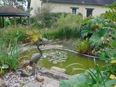 photo no. 13