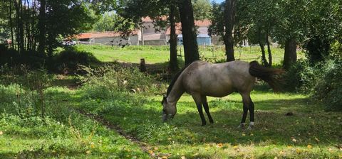 Un domaine équestre au coeur de la nature.