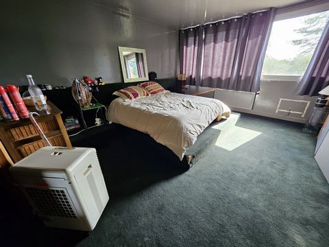 photo no. 7