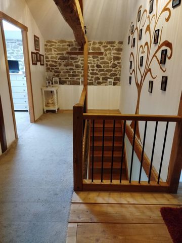 photo no. 13