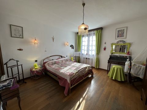 photo no. 5