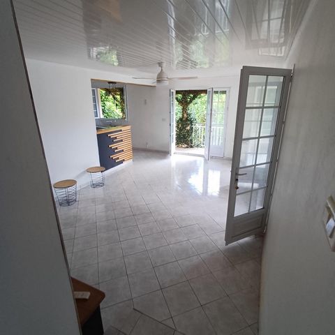 photo no. 15