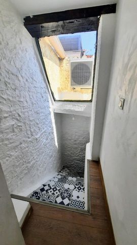 photo no. 11