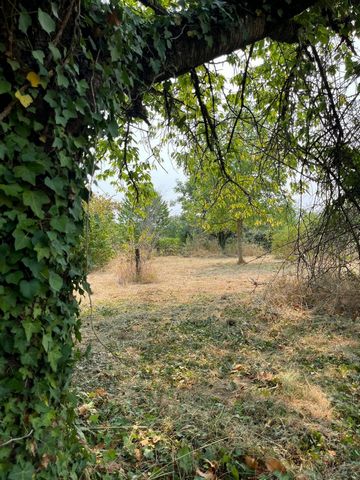 photo no. 12